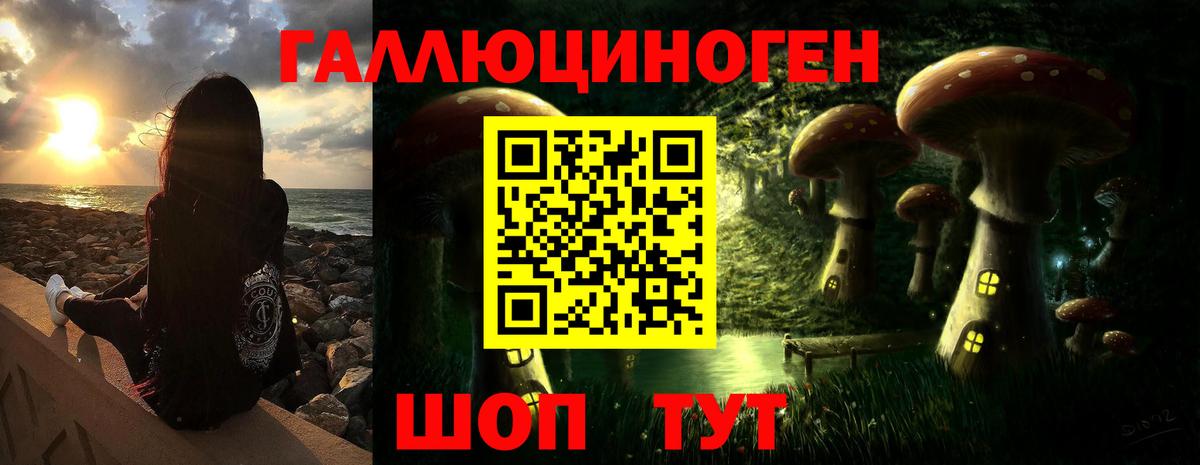 Псилоцибиновые грибы Psilocybine cubensis  Вход с VPN  Клинцы 